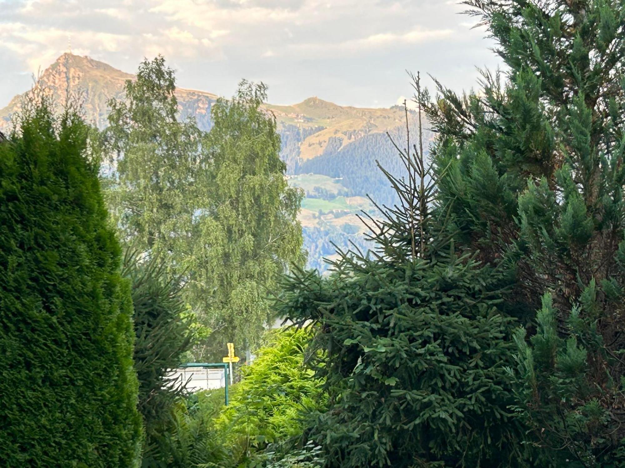 Fleckalm Chalets Кирхберг Экстерьер фото